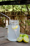 Stainless Steel Straws (Bent) & Cleaner