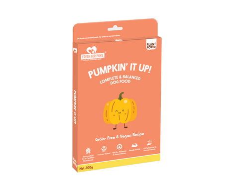 Pumpkin' It Up
