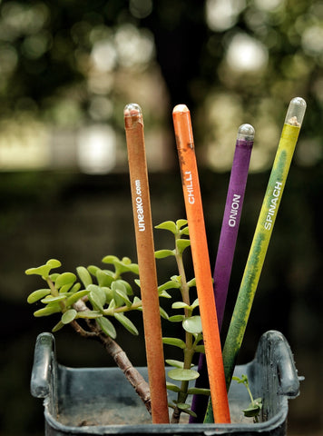 Plantable Pencils